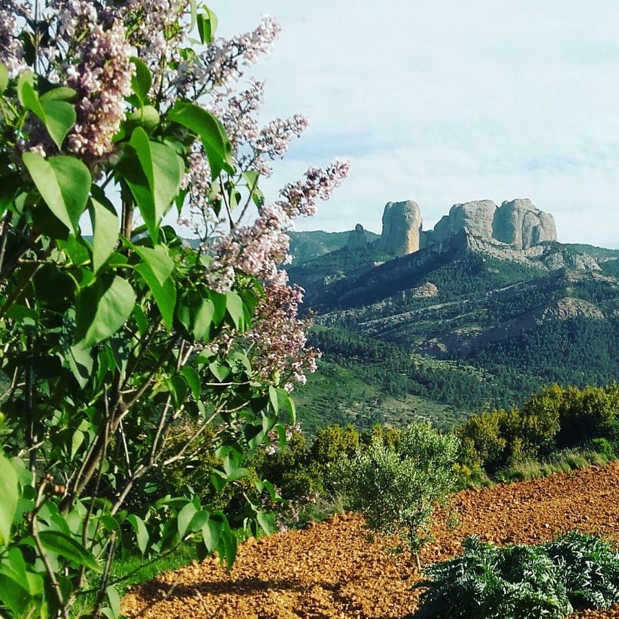 Santana Horta de Sant Joan